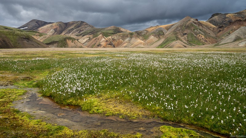 Фото сделанное пользователем Benuy