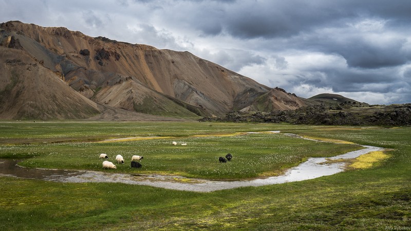 Фото сделанное пользователем Benuy