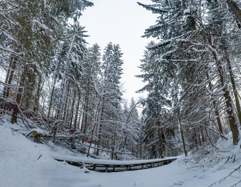 Фото сделанное пользователем KotoPalych