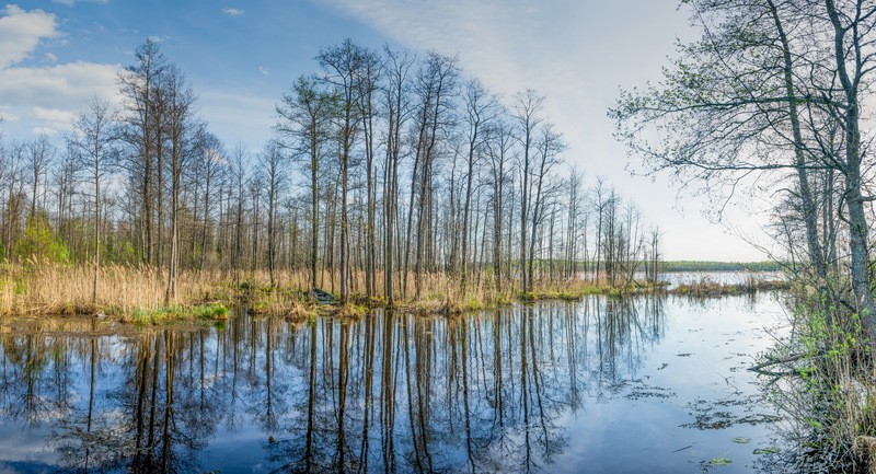 Фото сделанное пользователем KotoPalych