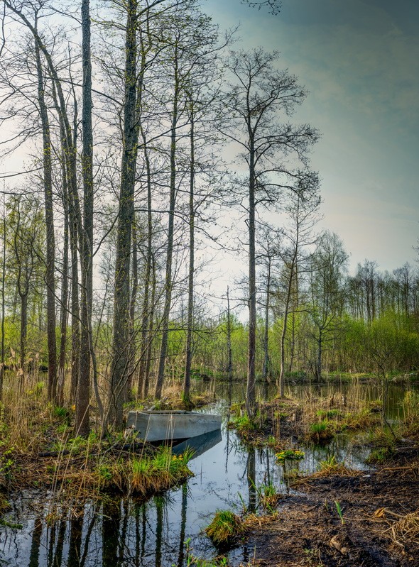 Фото сделанное пользователем KotoPalych