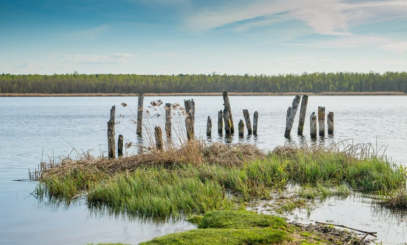 Фото сделанное пользователем KotoPalych