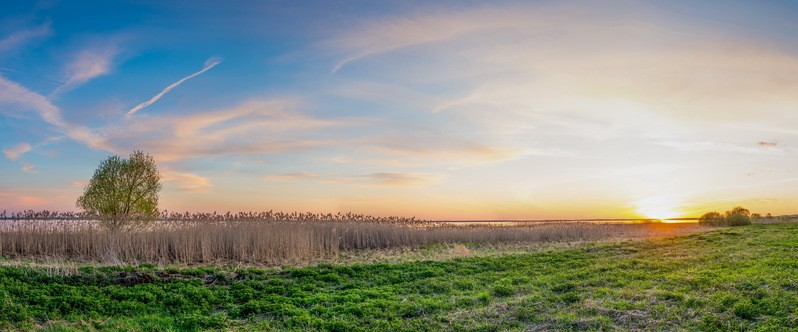 Фото сделанное пользователем KotoPalych