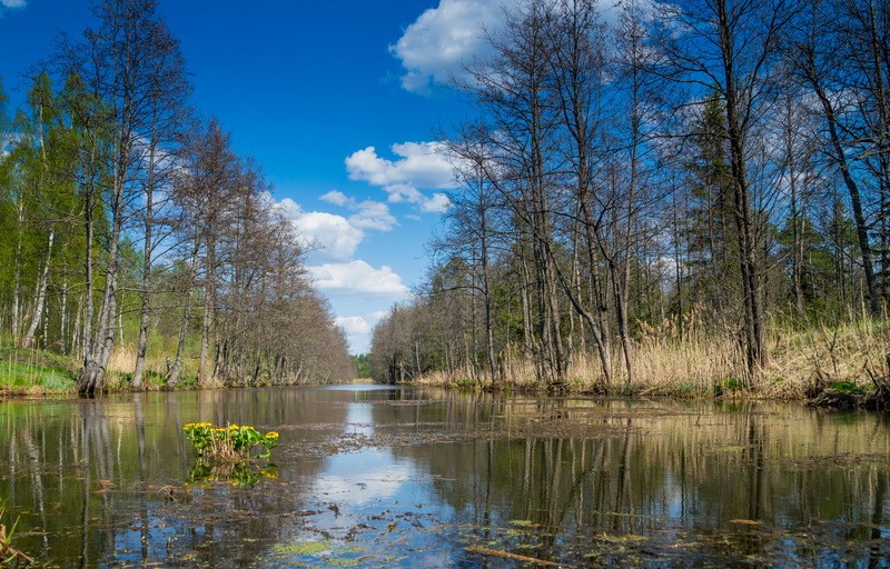 Фото сделанное пользователем KotoPalych