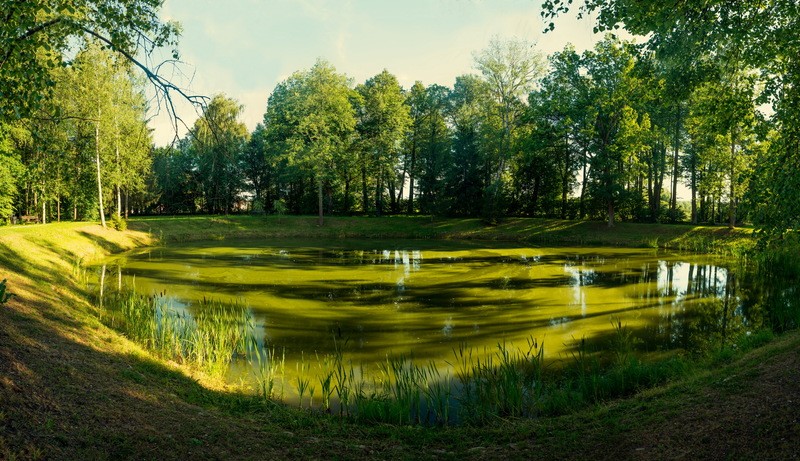 Фото сделанное пользователем KotoPalych