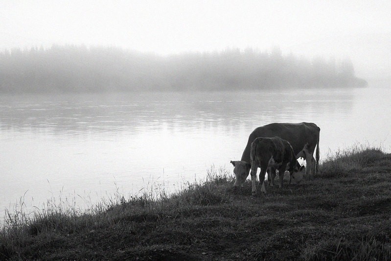 Фото сделанное пользователем szezya