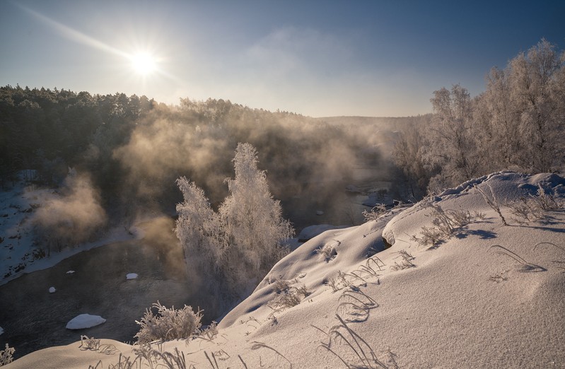 Фото сделанное пользователем филин