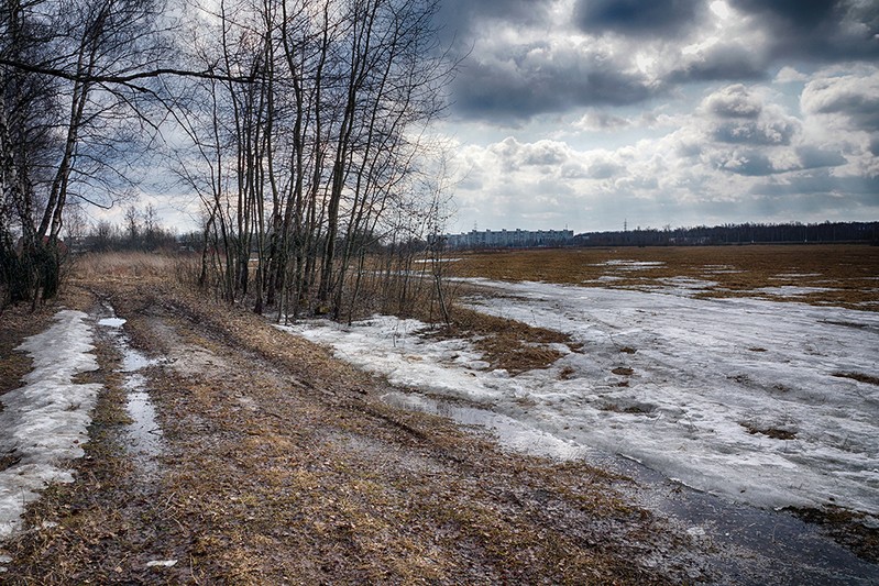 Фото сделанное пользователем LesVik