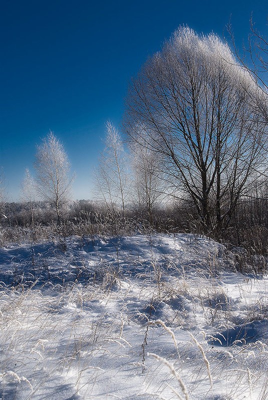 Фото сделанное пользователем contraspirit