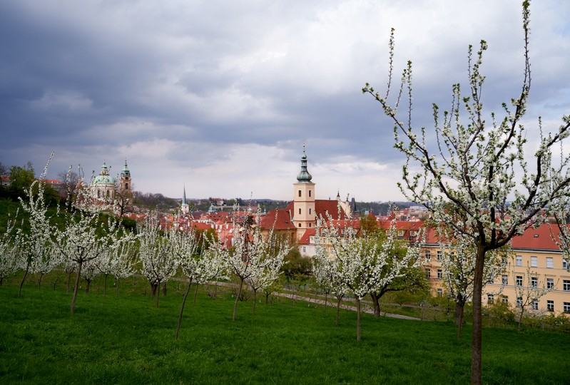 Фото сделанное пользователем delsena