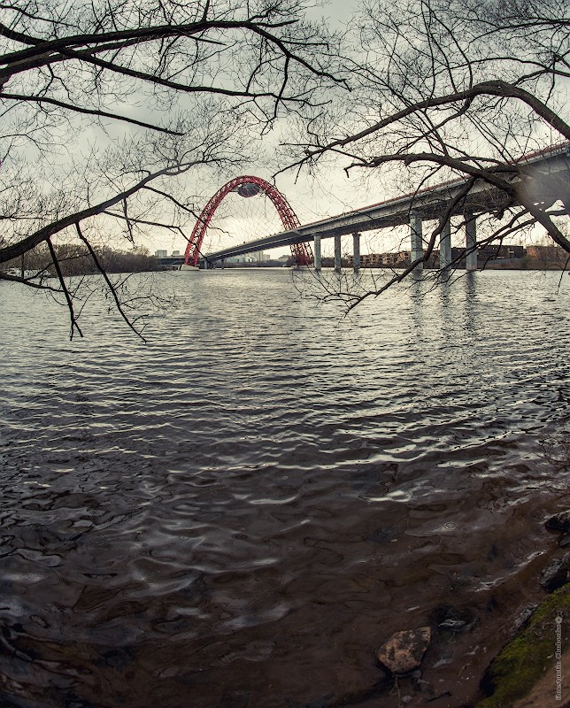 Фото сделанное пользователем KotoPalych