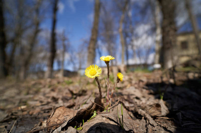 Фото сделанное пользователем romelenium