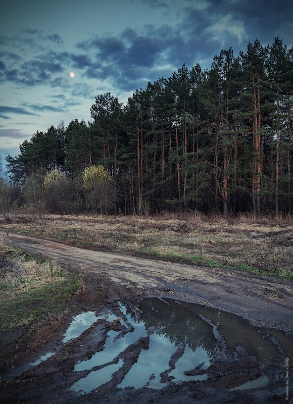 Фото сделанное пользователем KotoPalych