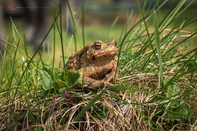 Фото сделанное пользователем Magadanec