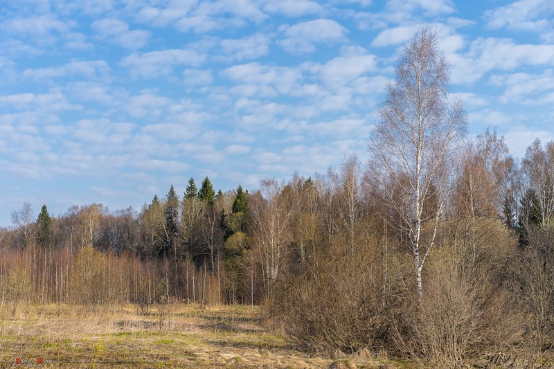 Фото сделанное пользователем Magadanec