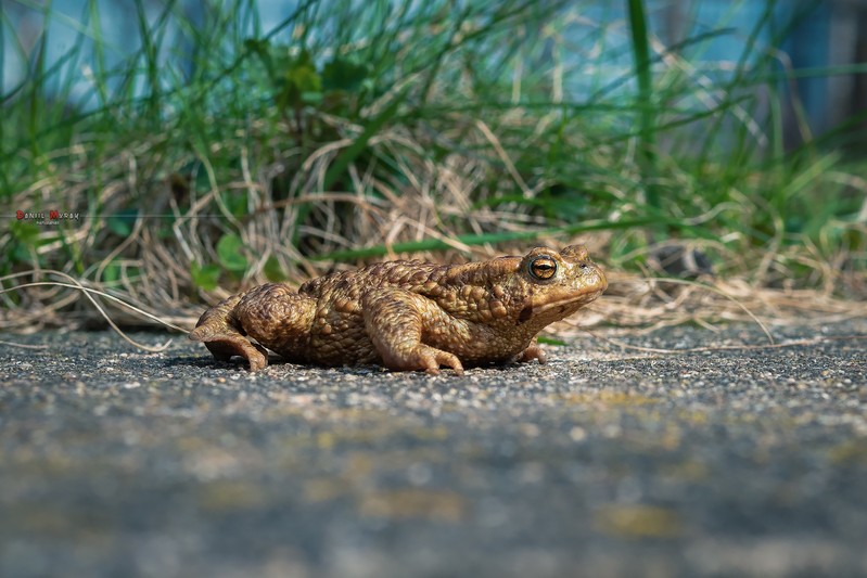 Фото сделанное пользователем Magadanec