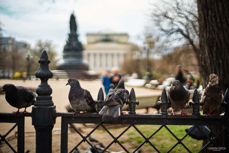 Фото сделанное пользователем romelenium