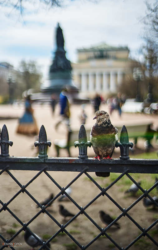 Фото сделанное пользователем romelenium