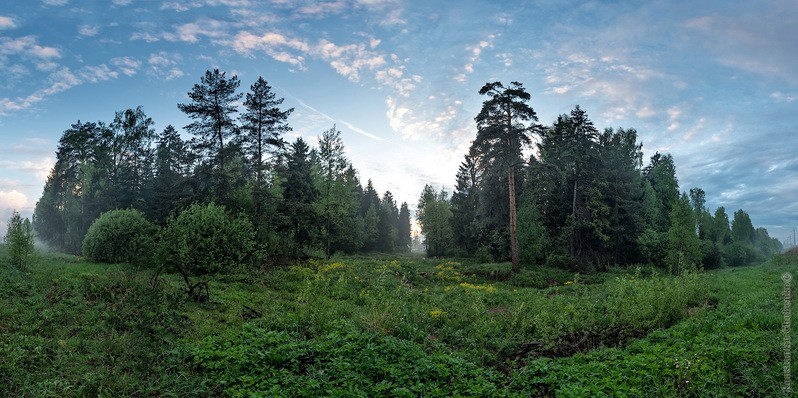 Фото сделанное пользователем KotoPalych