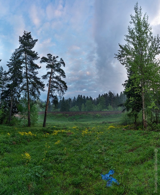 Фото сделанное пользователем KotoPalych