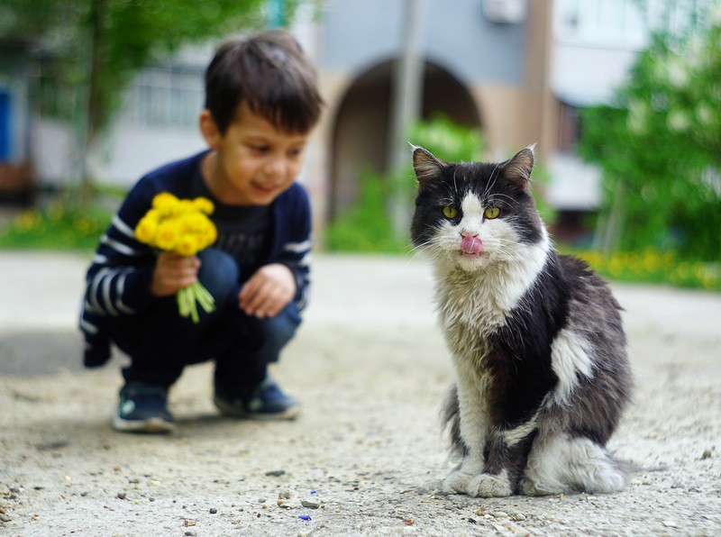 Фото сделанное пользователем mrbigheller