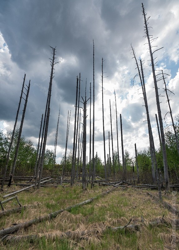 Фото сделанное пользователем KotoPalych