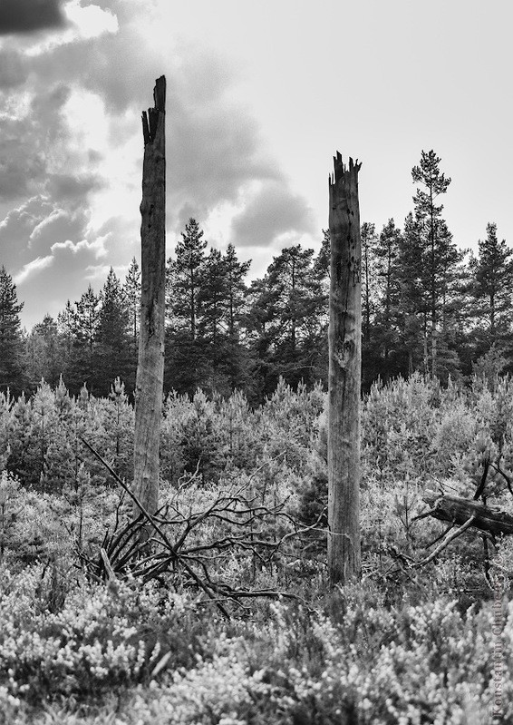 Фото сделанное пользователем KotoPalych