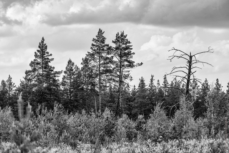 Фото сделанное пользователем KotoPalych