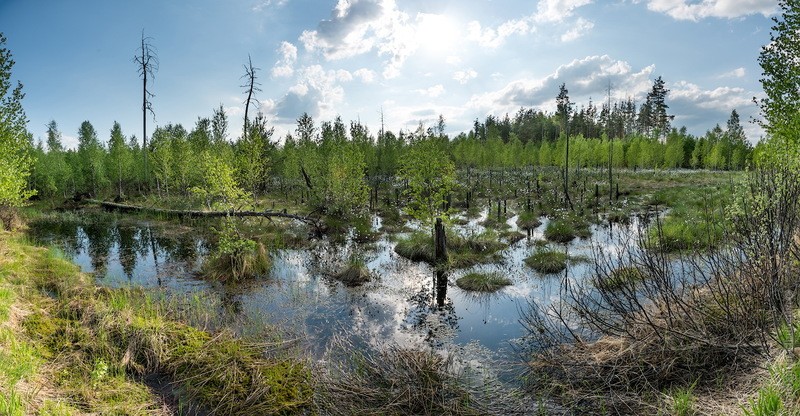 Фото сделанное пользователем KotoPalych