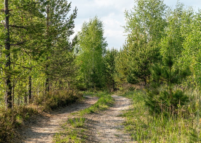 Фото сделанное пользователем KotoPalych