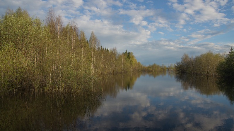 Фото сделанное пользователем Борис Ф