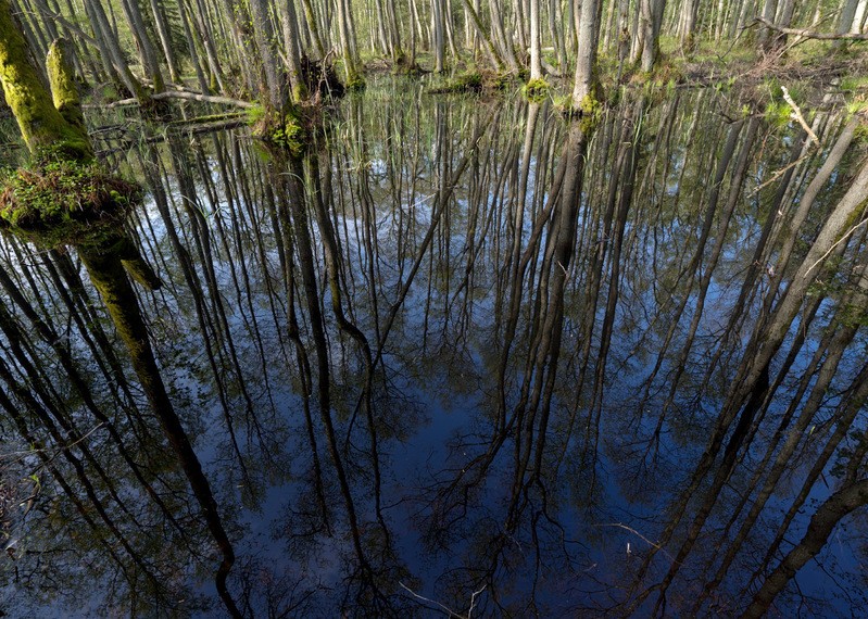 Фото сделанное пользователем SmolAleks