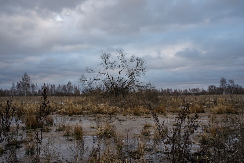 Фото сделанное пользователем sokol