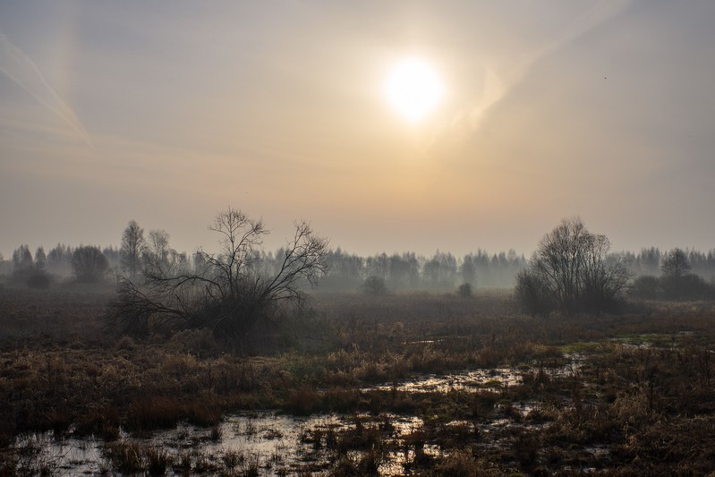 Фото сделанное пользователем sokol