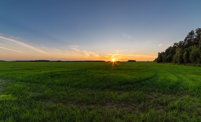 Фото сделанное пользователем sokol