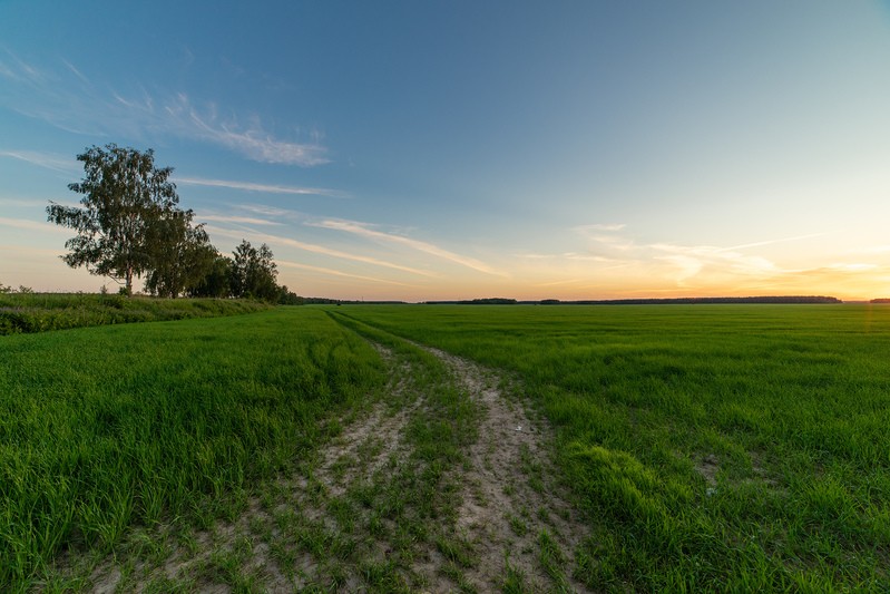 Фото сделанное пользователем sokol