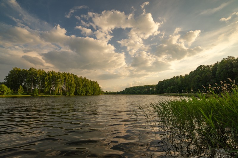 Фото сделанное пользователем sokol