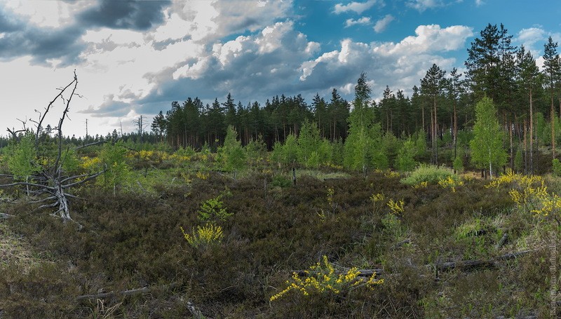 Фото сделанное пользователем KotoPalych