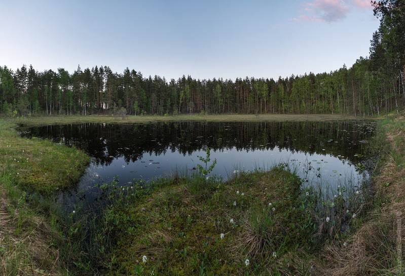 Фото сделанное пользователем KotoPalych