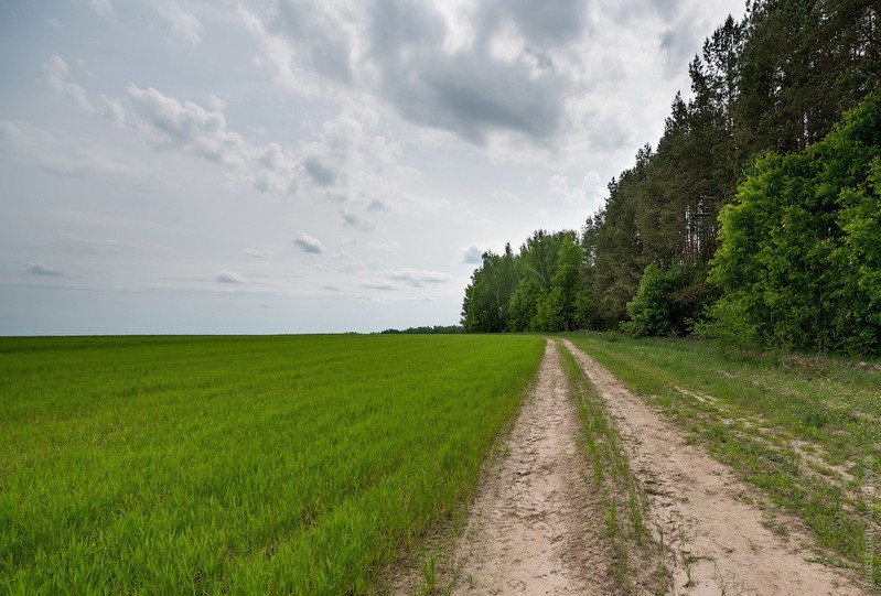 Фото сделанное пользователем KotoPalych