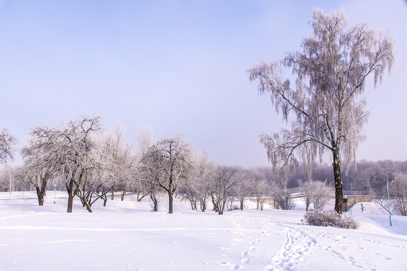 Фото сделанное пользователем Alikbars