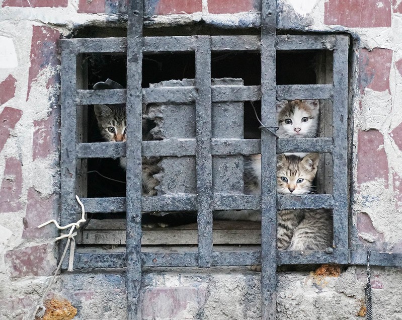 Фото сделанное пользователем Strannikov