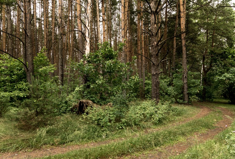 Фото сделанное пользователем Alikbars