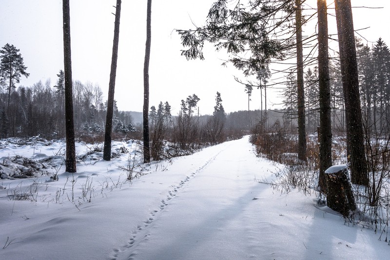 Фото сделанное пользователем Alikbars