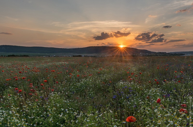 Фото сделанное пользователем KotoPalych