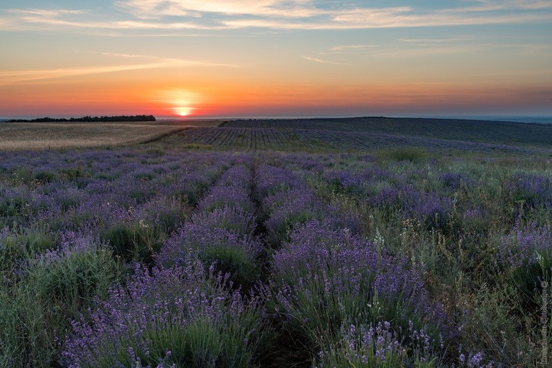 Фото сделанное пользователем KotoPalych