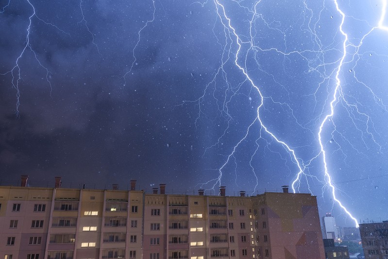 Фото сделанное пользователем филин