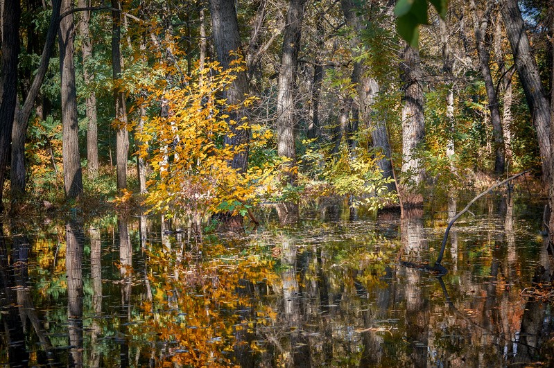 Фото сделанное пользователем vitalian