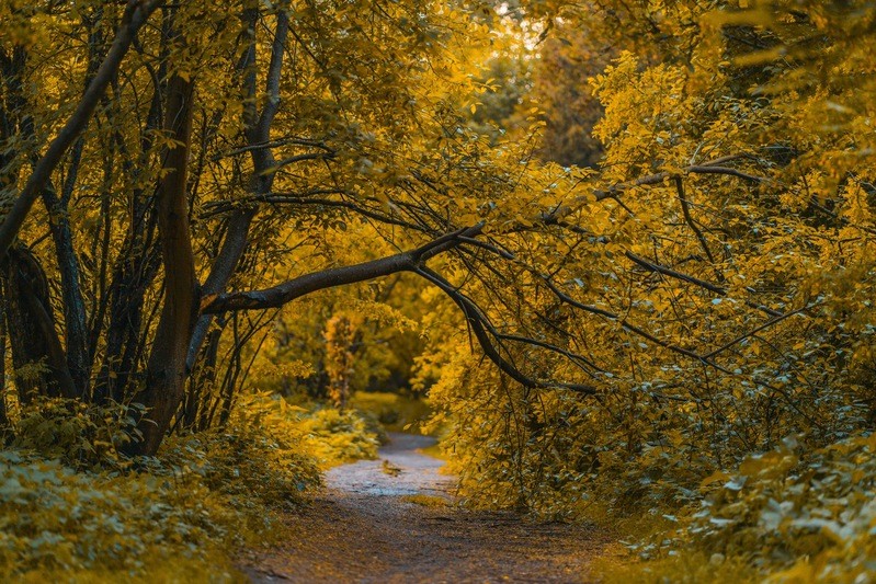 Фото сделанное пользователем Sergey LO