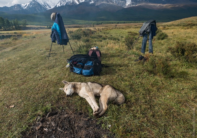 Фото сделанное пользователем KotoPalych